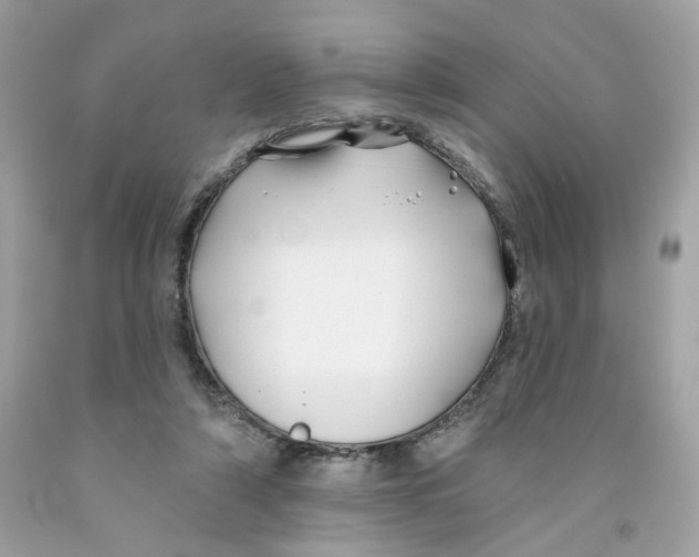 X0000091070306200709041225