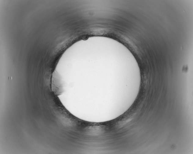X0000091070307200709041225