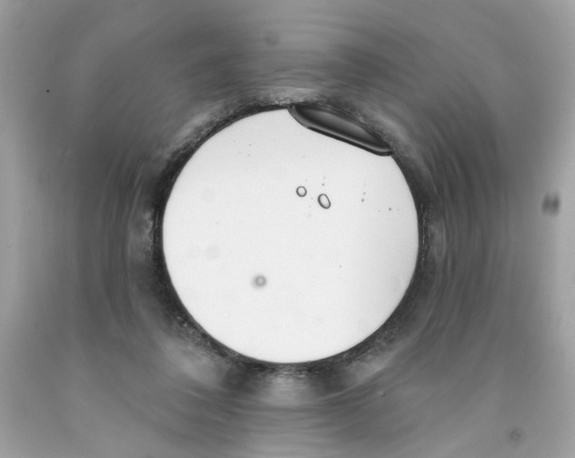 X0000091070308200709041225
