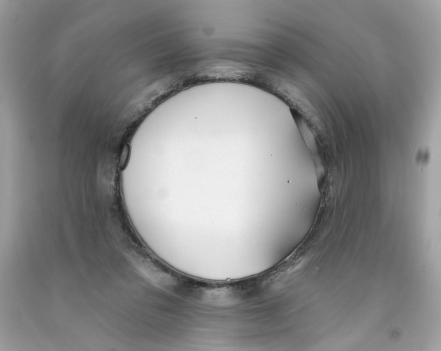 X0000091070309200709041225