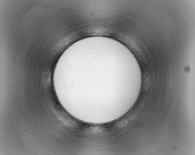 X0000091070310200709041225
