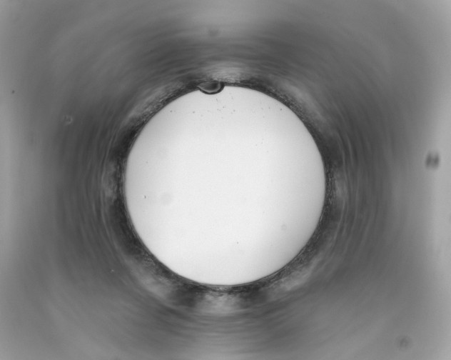 X0000091070311200709041225