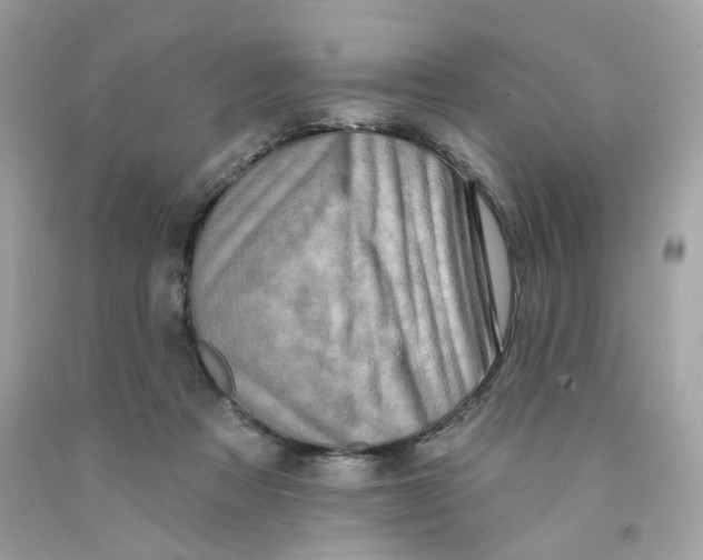 X0000091070313200709041225