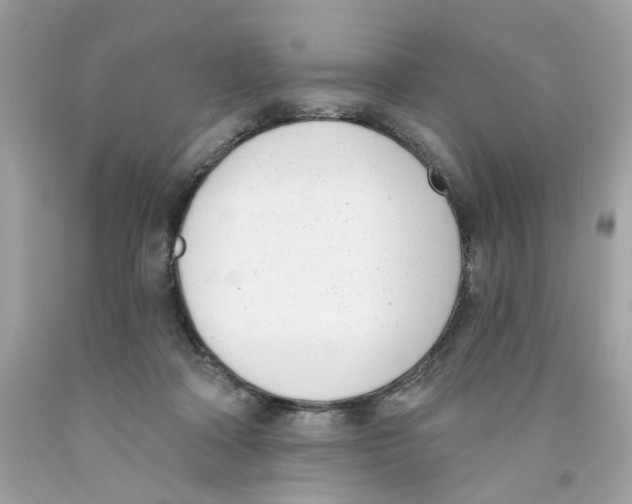 X0000091070314200709041225