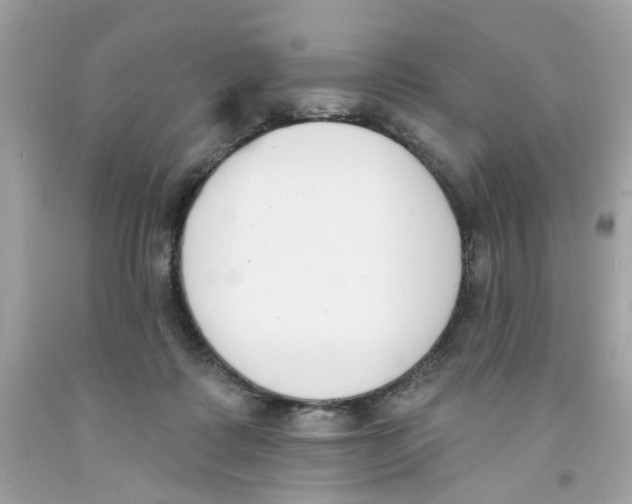 X0000091070315200709041225
