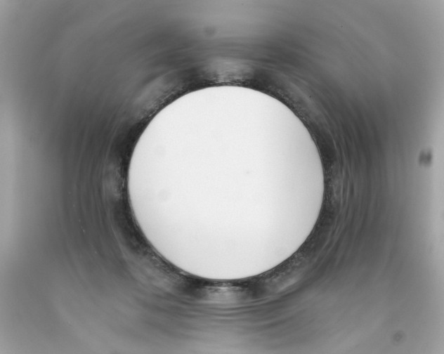 X0000091070316200709041225