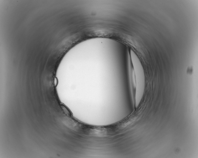 X0000091070317200709041225