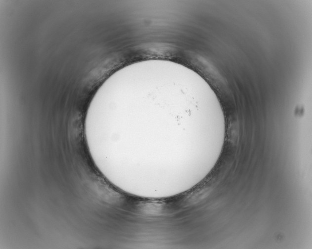 X0000091070318200709041225