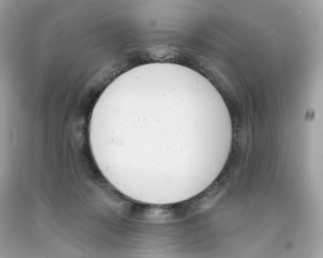 X0000091070319200709041225