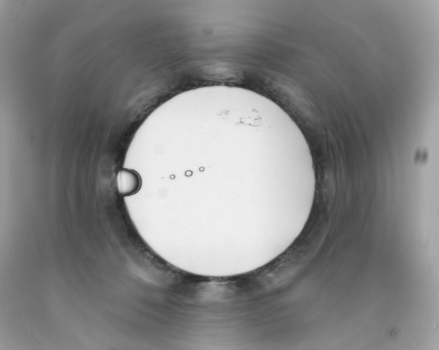 X0000091070320200709041225