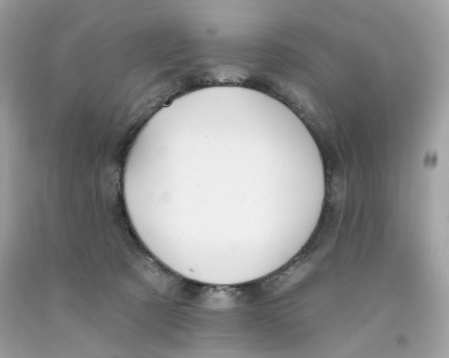 X0000091070321200709041225