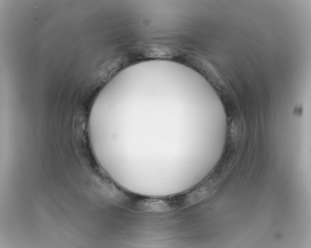 X0000091070322200709041225