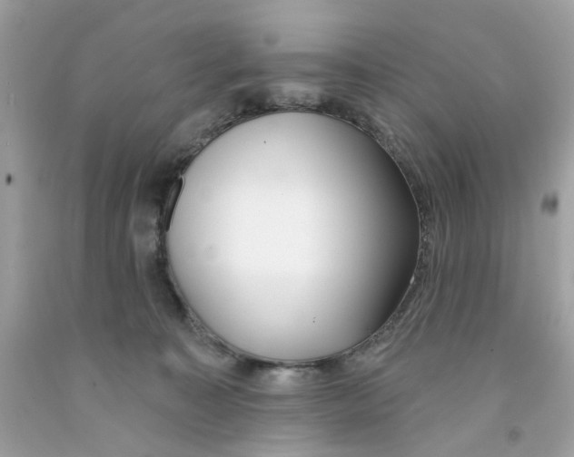 X0000091070323200709041225