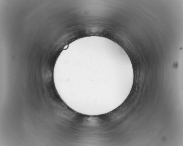 X0000091070324200709041225
