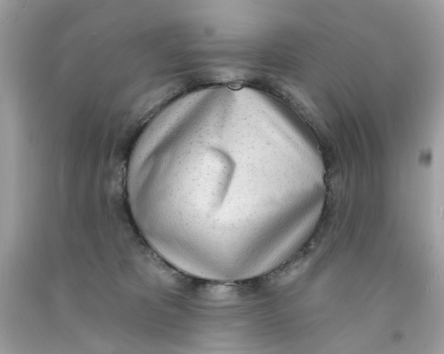 X0000091070325200709041225
