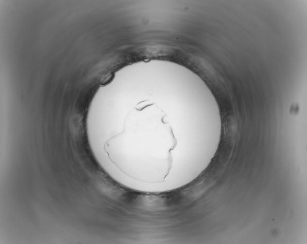 X0000091070327200709041225