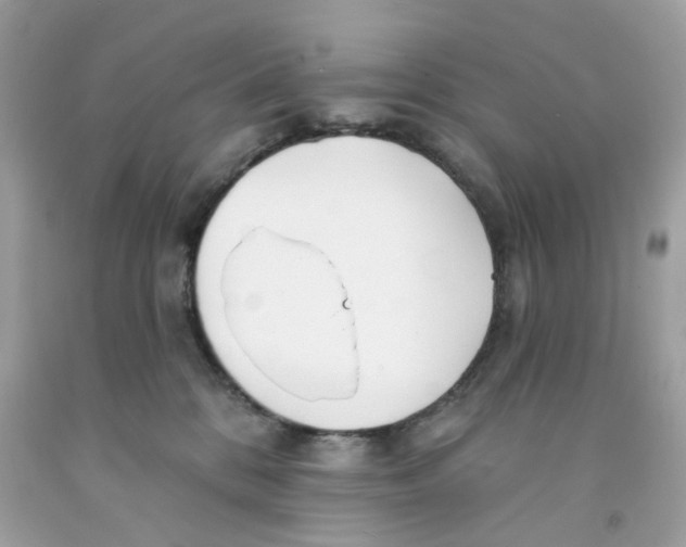 X0000091070328200709041225