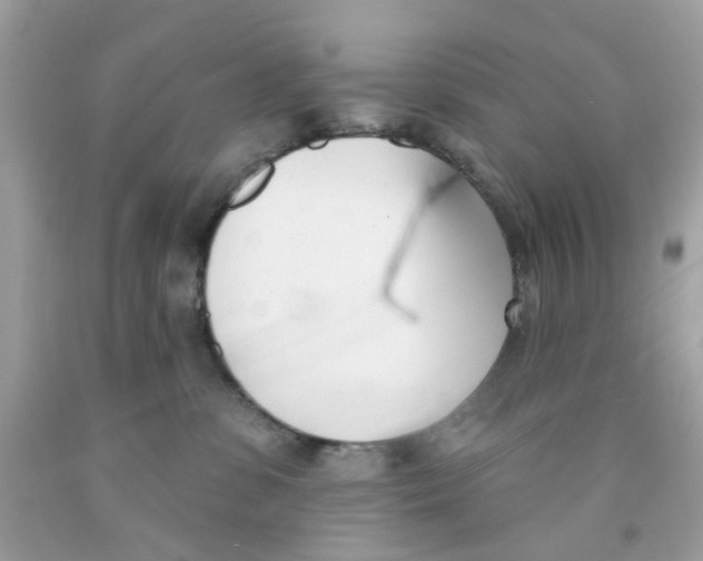 X0000091070331200709041225