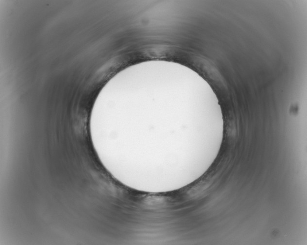 X0000091070332200709041224