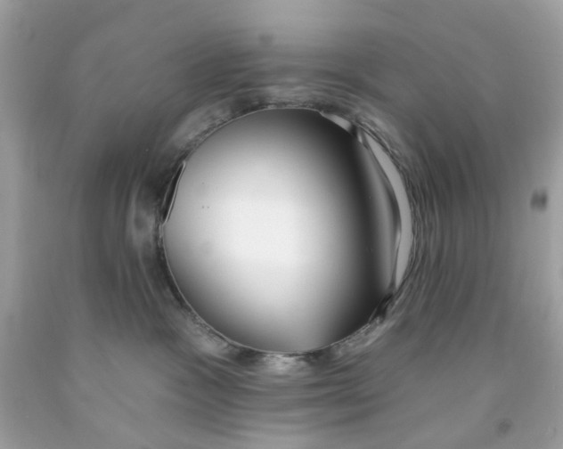 X0000091070333200709041224