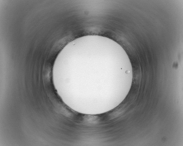 X0000091070334200709041224
