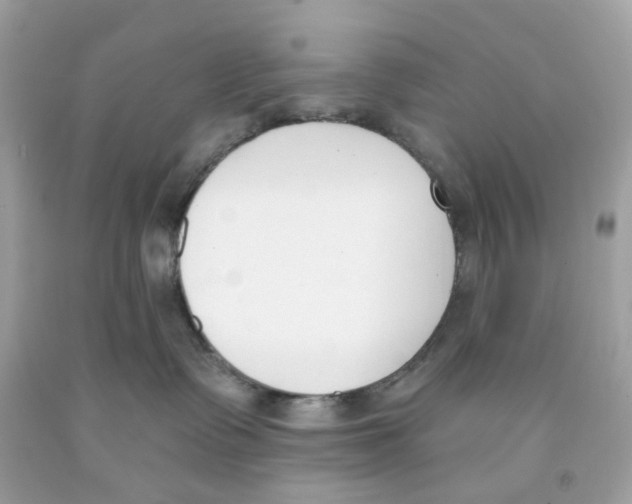 X0000091070335200709041224