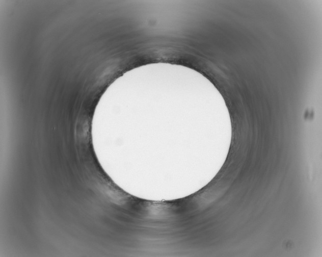 X0000091070336200709041224