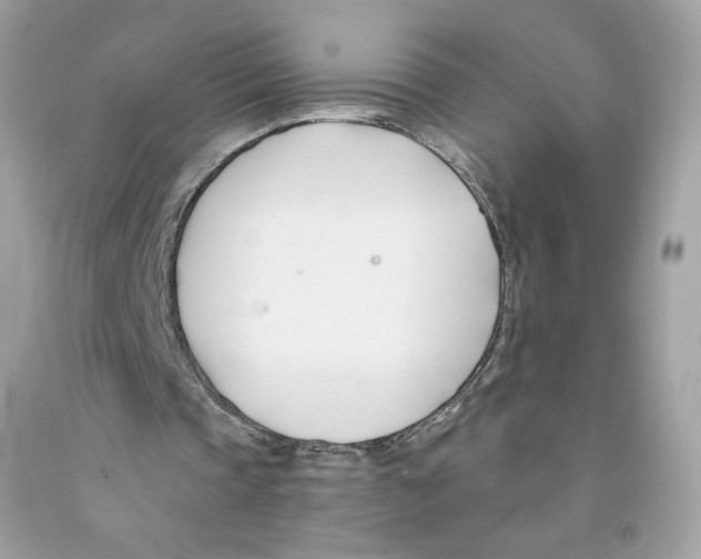 X0000091070337200709041224