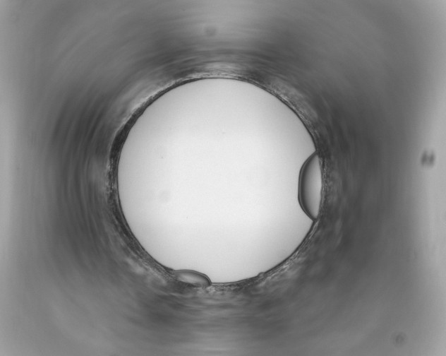X0000091070338200709041224