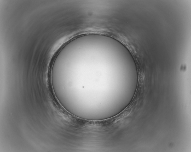 X0000091070340200709041224