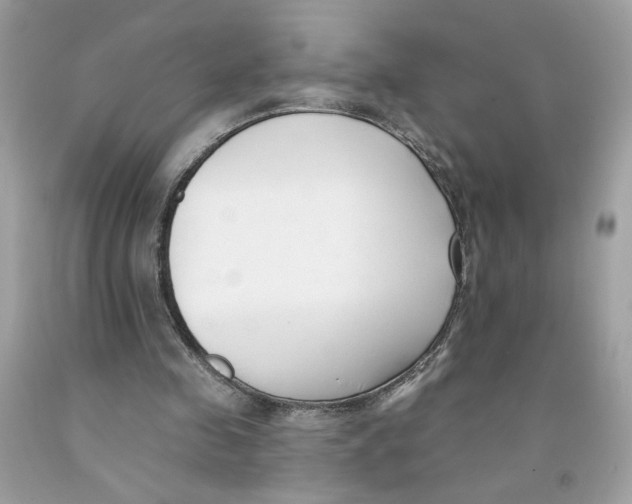 X0000091070341200709041224