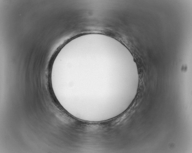 X0000091070342200709041224