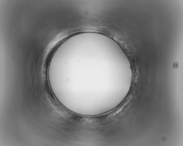 X0000091070343200709041224