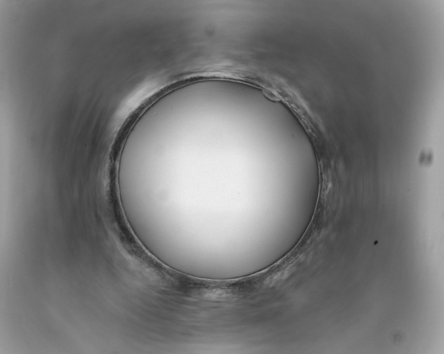 X0000091070344200709041224