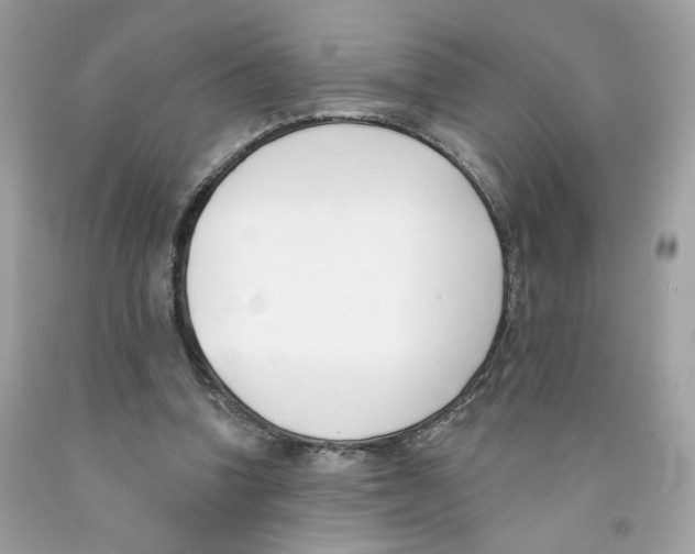 X0000091070346200709041224
