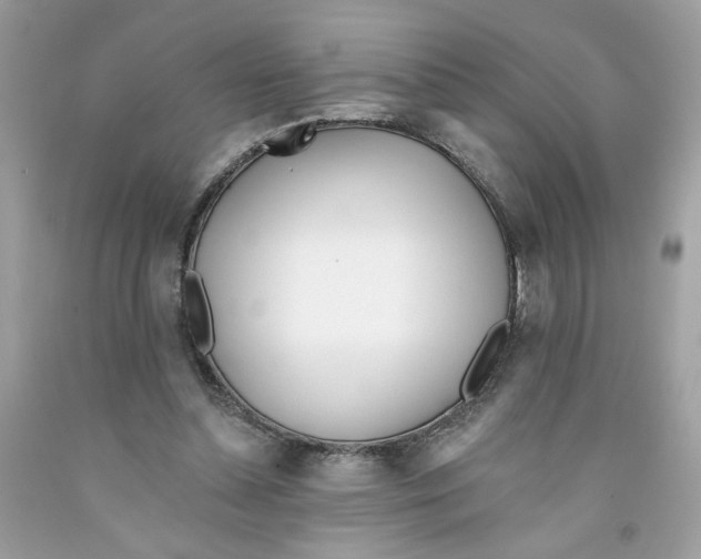 X0000091070348200709041224