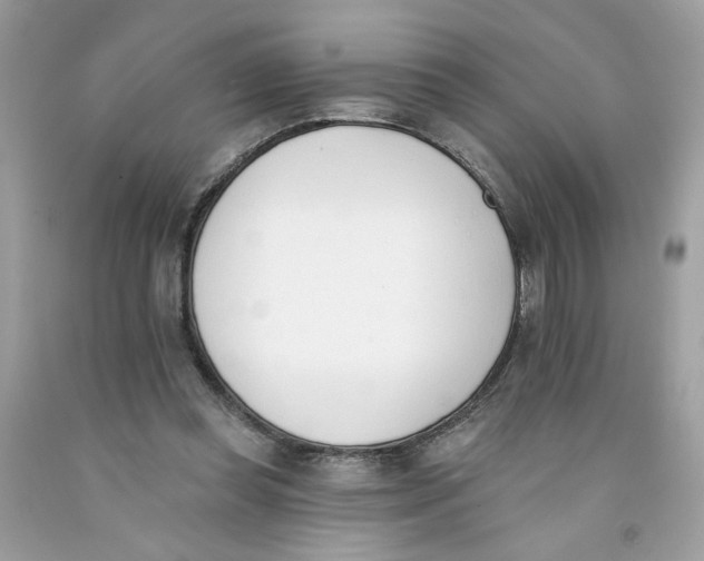 X0000091070349200709041224