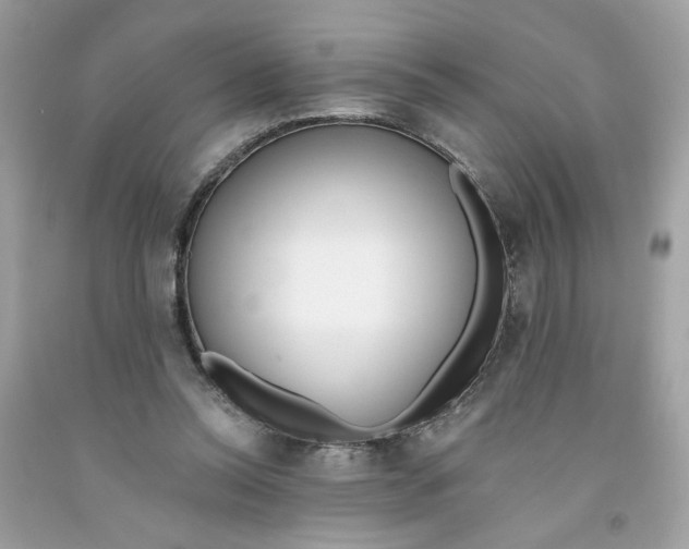X0000091070350200709041224