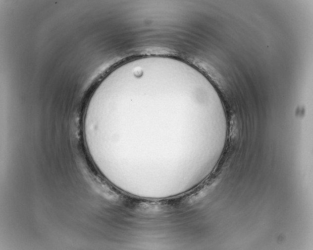 X0000091070351200709041224