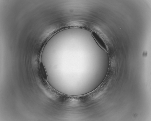X0000091070352200709041224
