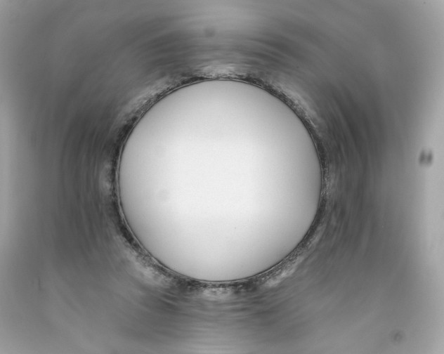 X0000091070353200709041224