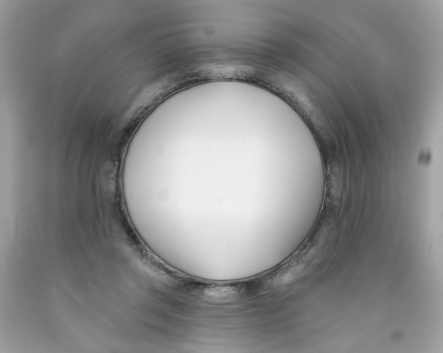 X0000091070357200709041224