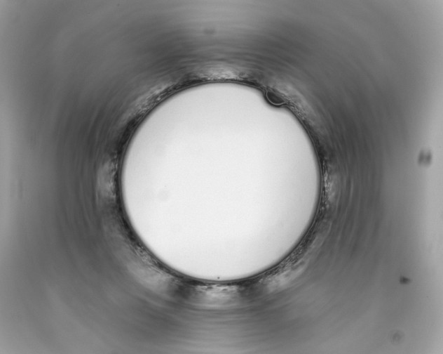 X0000091070359200709041224