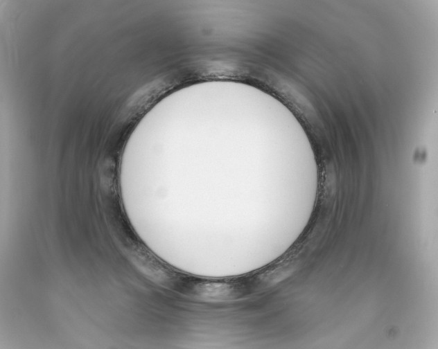 X0000091070361200709041224