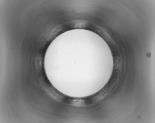 X0000091070363200709041224