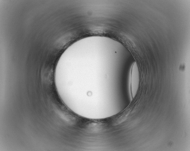 X0000091070364200709041224