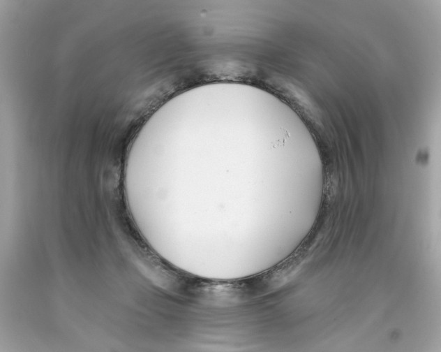 X0000091070365200709041224