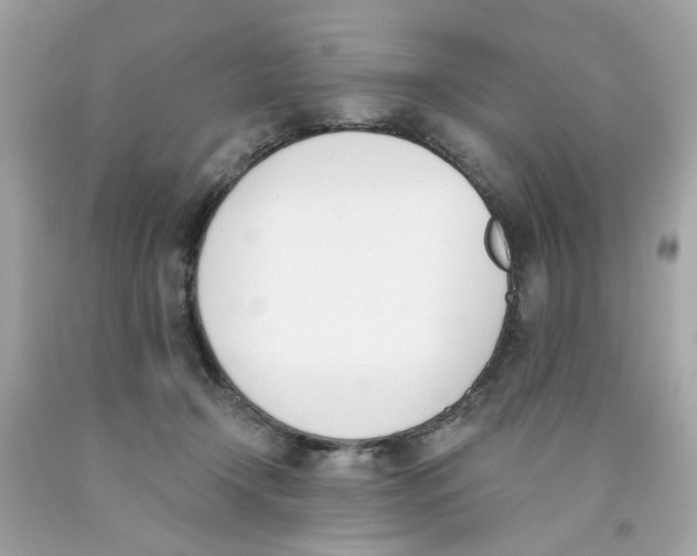 X0000091070366200709041224