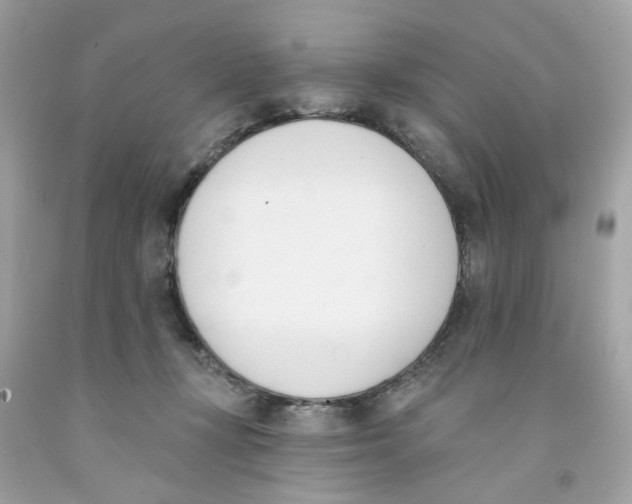 X0000091070367200709041224