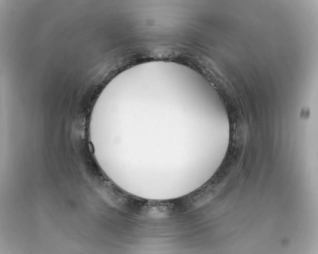 X0000091070368200709041224